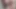 Fat Ass Trans Girl Strip Teases, Shakes Ass, & Shows off Thick Cock (4k)