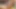 Small Tits Trap Babi Aydal Cums While Riding Dildo