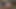 孤独が禁断の温もりに変わるとき