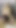 She wants attention. 👄 Subscribe and don&#039;t leave her alone. 🔥