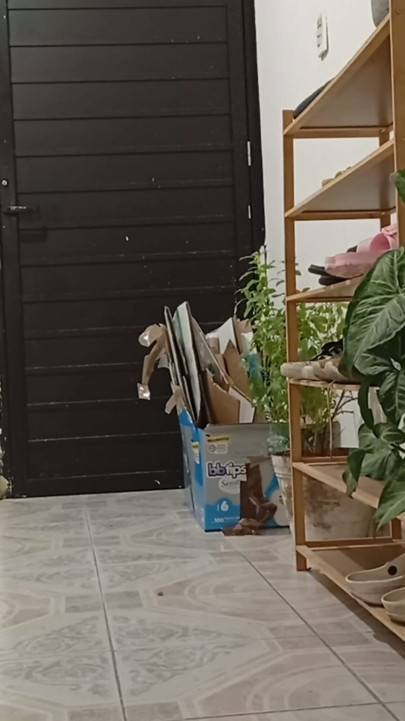 Tombul komşu yeni dairede temizlik yapıyor (bölüm 2) | Bölüm 1