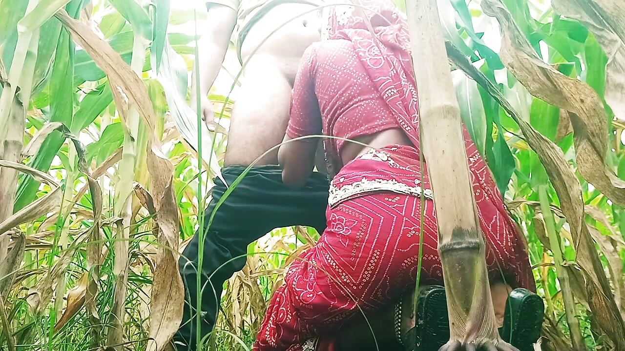 Sister-in-law sucked cock in the field and fucked hard