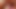 CocksuckerSean Pink Dildo