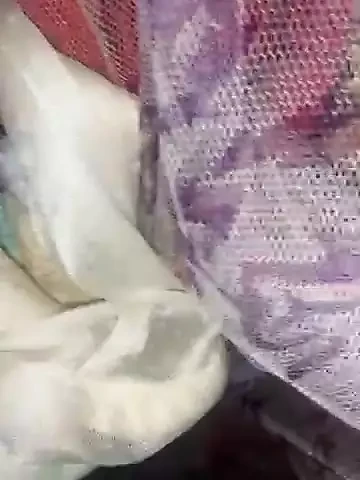 Anaconda