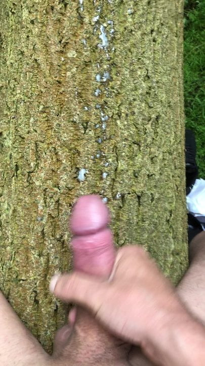 Alleine im Wald