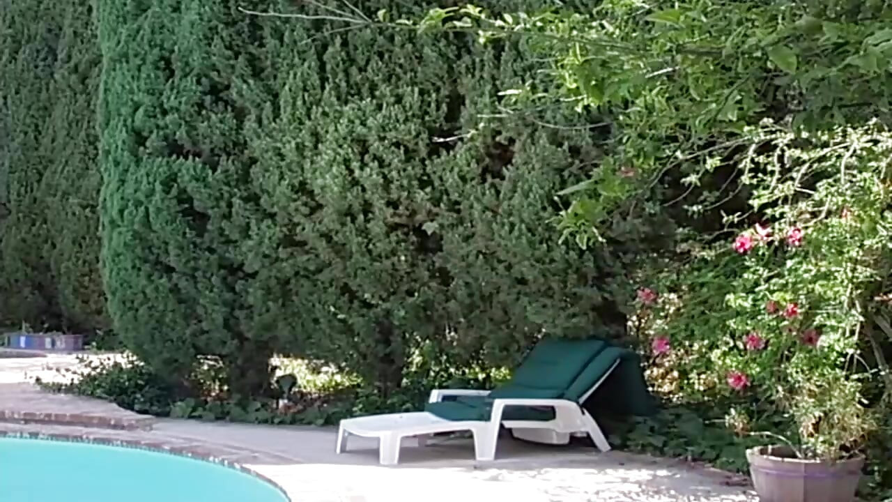 Ljubitelji zvijezda, vol. 7