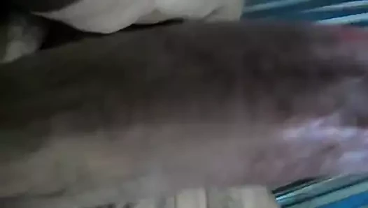 Verga golosa