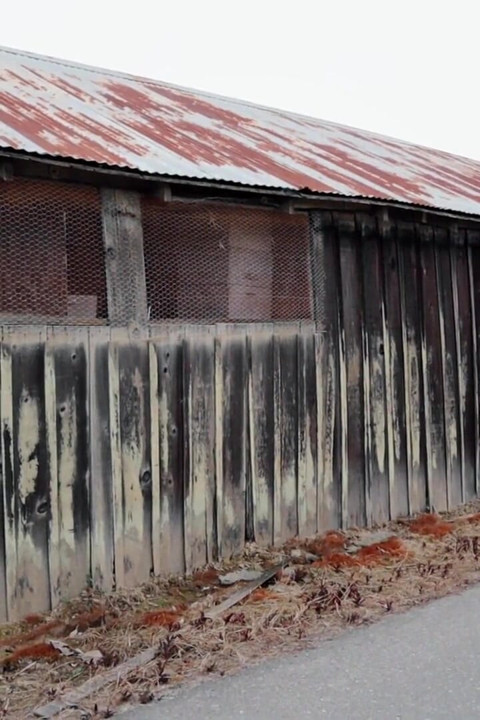 Make Miss Ella Come Featuring Ella Nova, Sam Solo