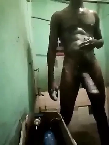 Lớn đen haitian ngựa tinh ranh