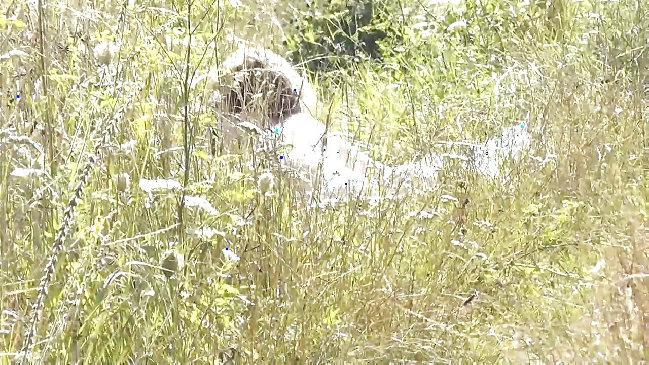 Wild beach Random guy passing by saw naked woman sexy mature Milf sunbathing on river bank Doggystyle Doggy style Butt Ass Pussy