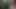 Cute Handsome German boy naked jerk off masturbation in the woods Forrest outdoor cum public big dick small cock muscle