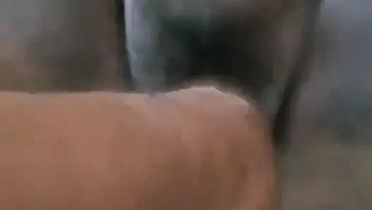 College student and boyfriend pussy eating performance videos