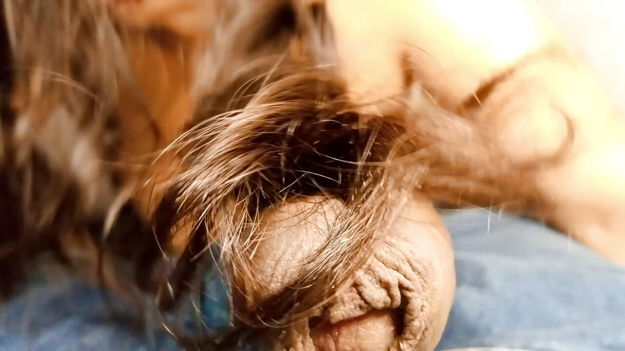 My stepsister likes that her hair smells like my penis