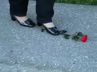 1 red Rose crush
