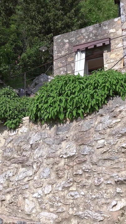 Summer Nostalgia