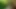 Pretty fair-haired t-girl in sexual red outfit enjoys dancing backdoor boogie on the forest meadow