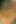 Kendini emiyor ve anal dildo çılgın sapık sapık eğlencesi