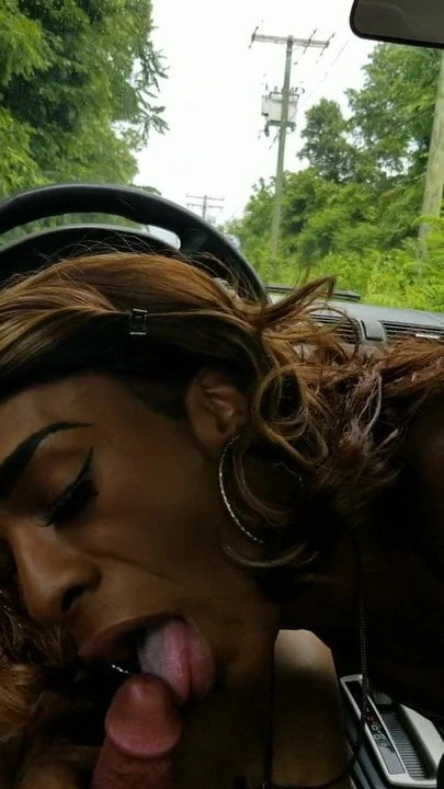 Receiving A Blowjob From A Black Transsexual
