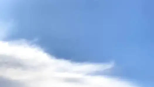 Stream Started Swimming