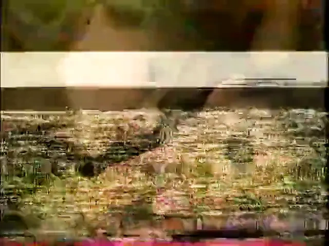 我以前从未这样做过