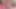 POV: Intense couple pegging - 100% raw & natural