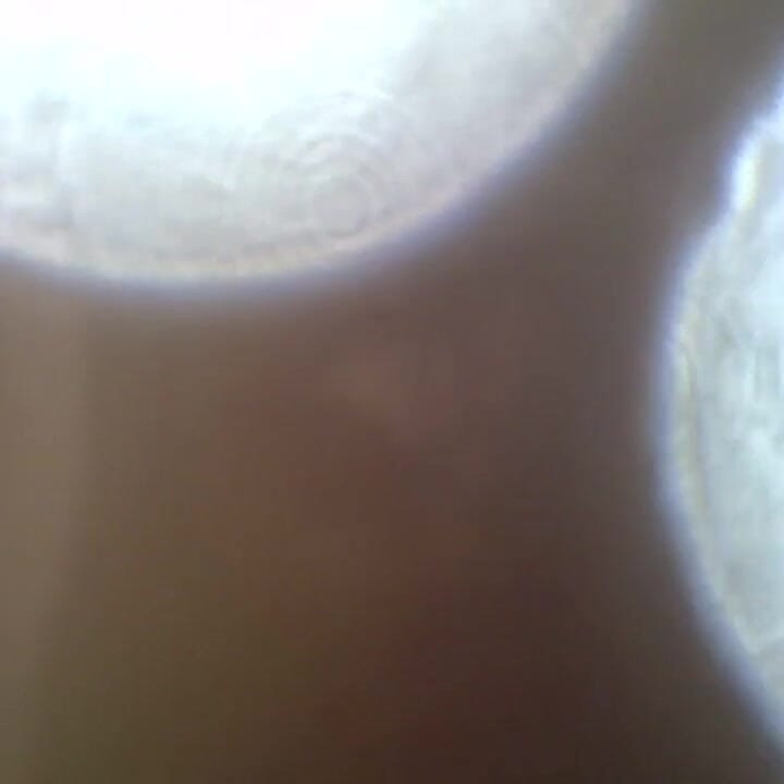 Crawling and Sliding Webcam Between Ass and Pussy