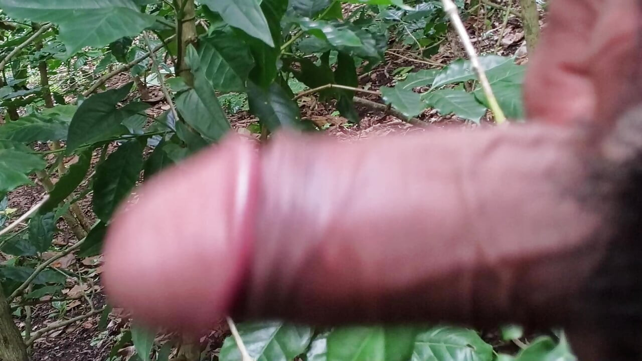 Male Pregnant Passive Swallower
