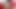 FuckPassVR - Asian milf Marica Hase strips out of her lingerie and wraps her cunt around your cock in this VR porn video