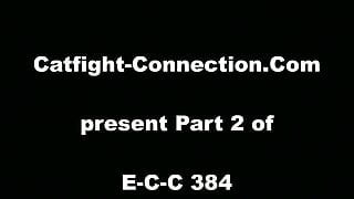 Catfight-Connection
