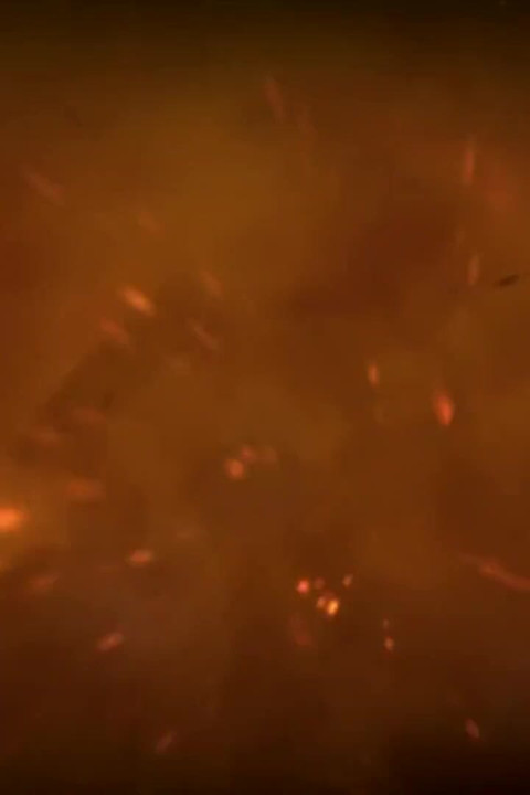 Fucked by Hairy Hunk Janusz