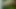 Getting a blowjob in the woods