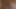 BBC Real Creampie Bareback Fuck - Compilation