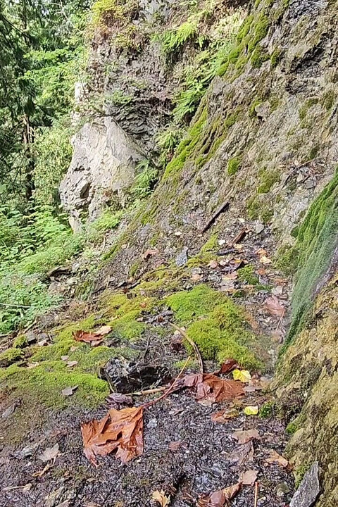 Cascada Desesperada