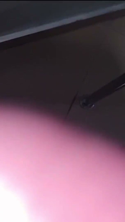 SMELL IT AND SUCK IT | HUGE COCK CUM - HANDJOB AND MOANS | Clip 2