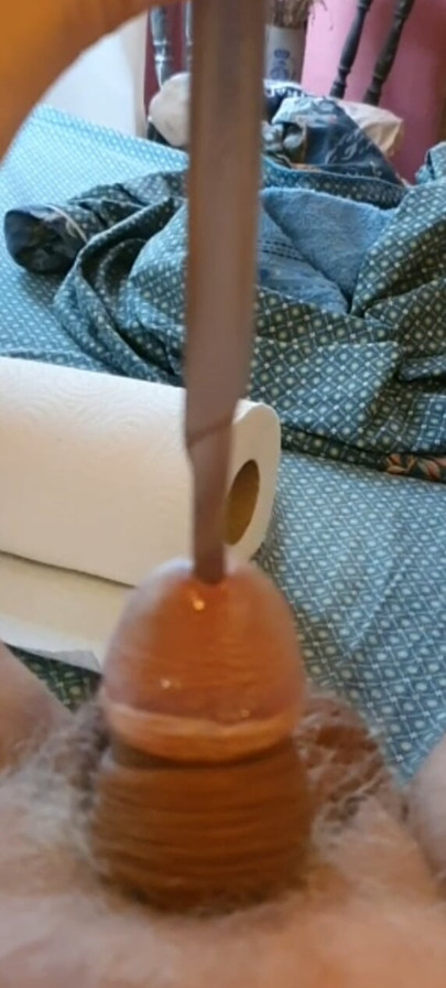 在阴茎尿道里叉