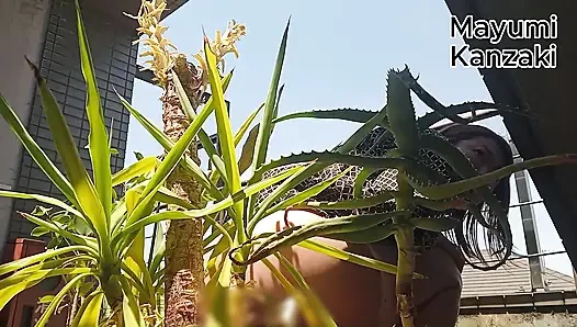Buang Air Kecil Di Tanaman Pot