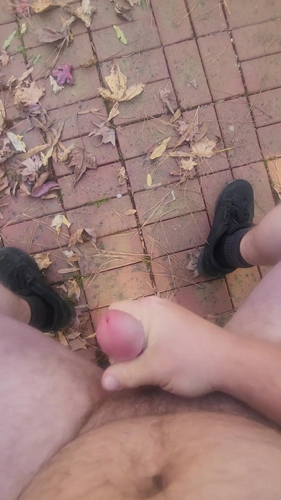 Trenutak koji morate vidjeti iz "Zabave u parku".