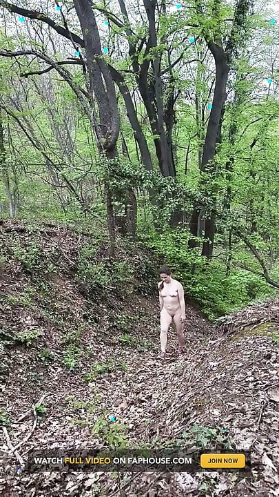 森林裡的小裸步