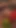 Notgeiles Junges Teen wird von 2 besten Freunden gebumst Ret | Clip 1
