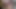 新しい義理の兄弟と継父のために、自分の胸を叩く動画を録画しました