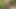 A random femboy jerks my cock and eats my cum in a park