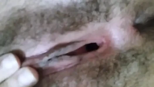 Ägyptische algerische frau spielt mit ihrer lieben muschi, bis sie fickt, eine arabische muschi voller haare