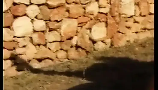 Brunette German Cougar with Naturals Gets Railed in Outdoor Orgy