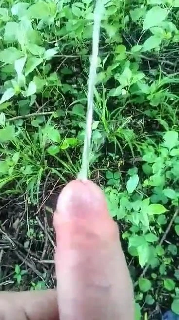 Писсинг