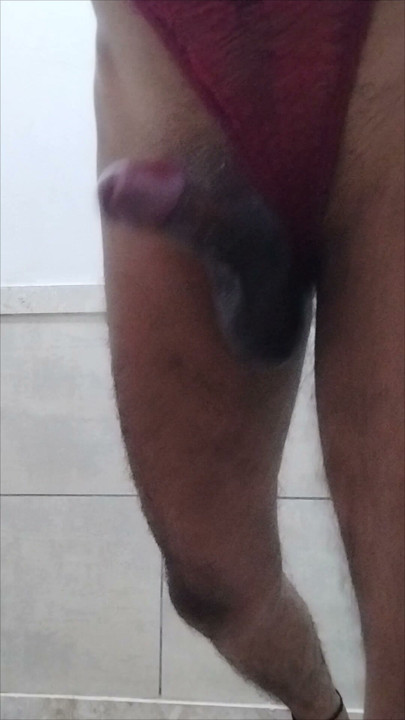Closeup pink cock with balls