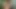 I fuck my stepdaughter's pussy in the shower