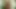 Milf Jasmine Tame bekommt einen doppelten Creampie zu lecken