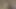 Porno yıldızı pawg virgo peridot shakin bouncin ve twerkin