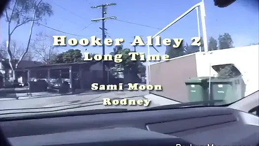 Vintage Swallow Asian Cutie Hooker Fantasy