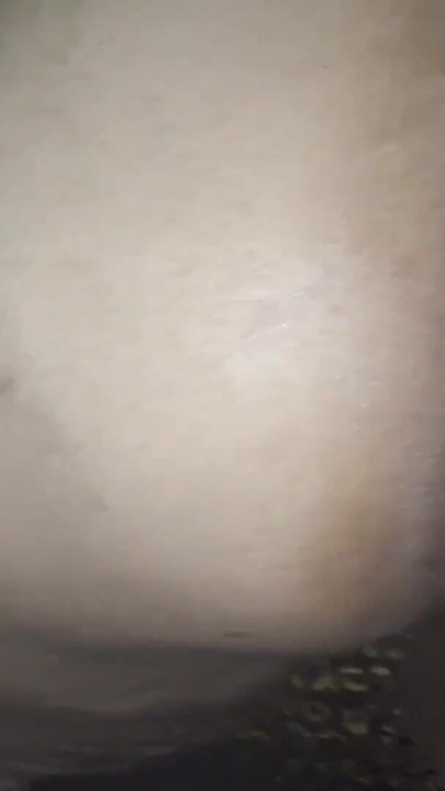 GRANDE RABUDA GORDINHA ANAL QUEEN BALANÇA SUA BUNDA GOSTOSA | Clipe 2